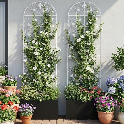 70.8" Metal Garden Trellis for Climbing Plants, 2 Pack White - color: White