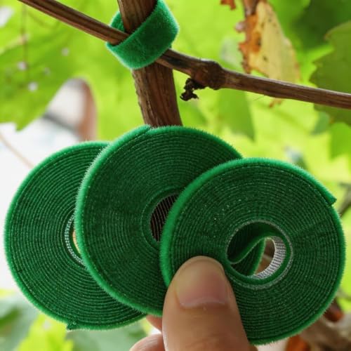 3Rolls Nylon Plant Ties Reusable Self Adhesive Plant Fastener Tape for Support Garden Supplies,200Ccm (Green) - color: Green