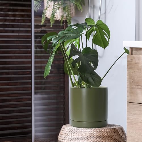 D'vine Dev 10 Inch Ceramic Planter Pot, Olive, 94-O-E-J - color: Olive, size: Large