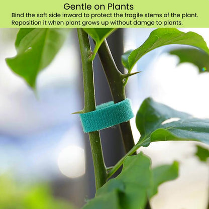 Reusable Plant Ties Hook and Loop Soft Garden Tape Roll Gentle Plant Supporting Ties Double Sided Self Gripping Adjustable Garden Staking Straps for Climbing Plants and Vines (1/2 Inch x 82 ft, Green) - size: 1/2 Inch x 82 Feet
