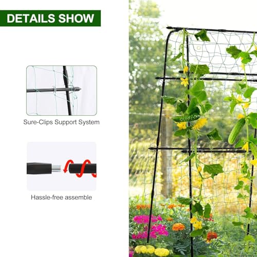 Cucumber Trellis for Raised Bed, 63" Hx63 L, Black - size: 5 x 2 x 5 ft, Arch Tunnel, Black