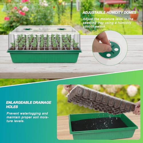 GOOINMILL Self-Watering Seed Starter Tray with Timed Grow Light, 60 Cells Plant Starter Tray Seedling Starter Kit with Humidity Domes Base Indoor Mini Greenhouse Plant Germination Trays