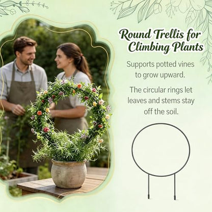 3 Pcs Hoya Trellis Set, Heart Shaped Plant Stand,