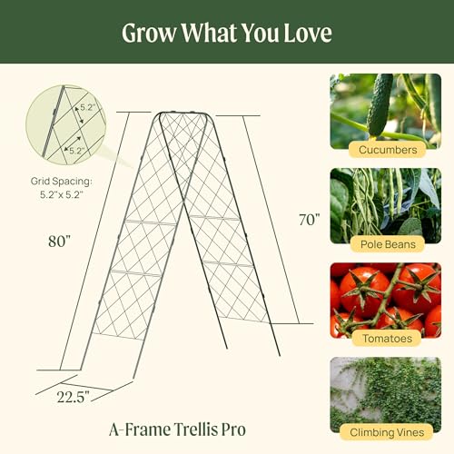 Vego Garden A-Frame Trellis 80" Tall Cucumber Cage for Garden & Pots, Rust-Resistant Tomato Stakes Heavy Gauge Plant Cage Trellis Support for Climbing Vegetables Plants 2 Pack - size: 80" Tall