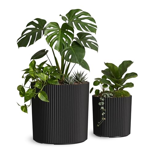 Mayne Haven 10in & 14in Round Fluted Modern Planter Set, Black, 2-Pack - color: Black, size: 10in and 14in