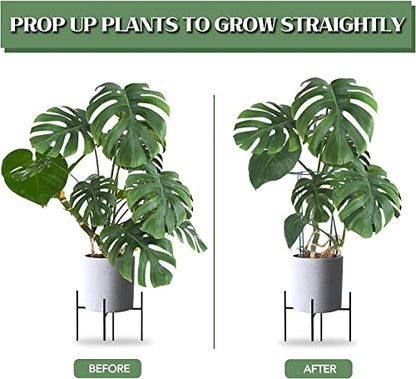 12 Pack 24 Inch Tall Snake Plant Support Stakes with 15 Twist Ties - size: 24" H