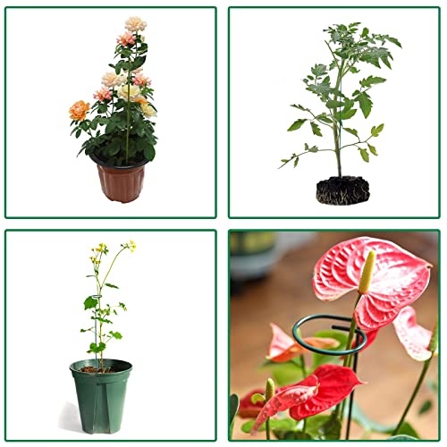 4 Pack Plant Stakes,Plant Support Stakes for Two Sizes(16 or 32 Inches) - size: 4