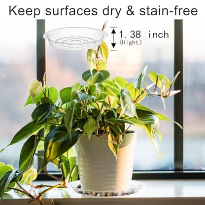 15 Pack Plant Saucers, HOMENIANG 15Pcs Clear Plant Saucer Drip (6inch / 8inch / 10inch), Flower Pot Trays, Plant Drainage Trays for Indoor Outdoor Garden Plants, 5 Pieces of Each Size - size: 6,8,10 Inch/15pcs