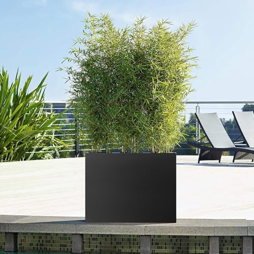 Steel Planter Box 24"x24"x25", Large Square Metal Planter Box - color: Black, size: 25"H x 24"L x 24"W