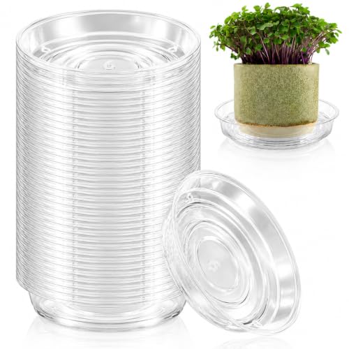 100 Pack 6 Inch Plant Saucer Clear Plant Saucers for Indoors Flower Pot Saucers Small Plants Plate Dish Succulent Pot Saucer Plants Trays for Pots Bulk Plastic Tray for Flower Cactus Nursery Pots - color: Clear, size: 6 inch: 100 pcs