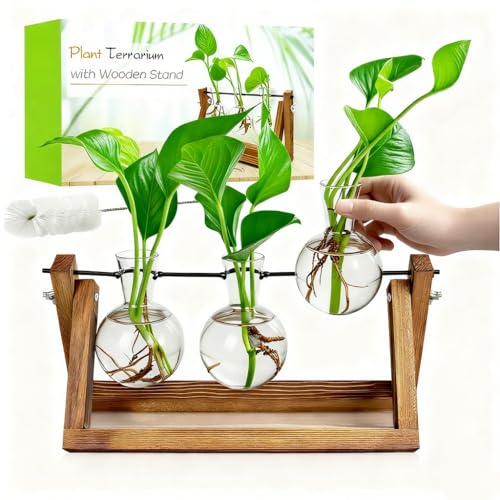 Renmxj Plant Propagation Station, Plant Terrarium with Wooden Stand - size: 3 Bulb Vase