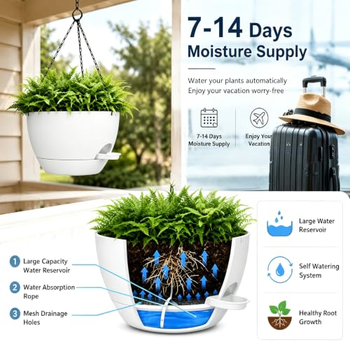 2 Pack 10 Inch Self Watering Hanging Planters for Indoor Plants, Large White Plastic Hanging Pots with Chains for Outdoor Patio Garden Home Decor (White) - color: White, size: 2 pack 10 inches