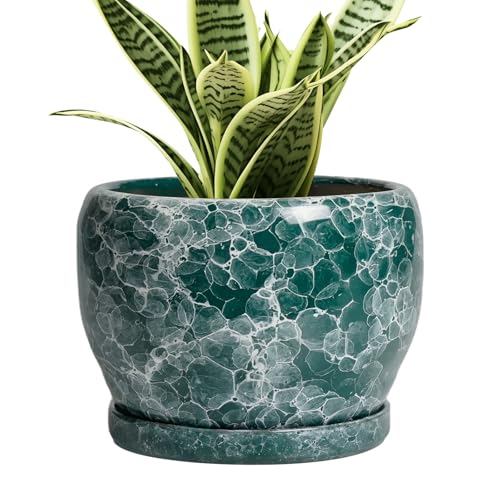 SQOWL Ceramic Pot for Plants - 6 Inch Ceramic Planter with Drainage Hole and Saucer, Round Flower Pot for Indoor Outdoor, Decorative Small Planter, Room Home Decor, Plant Lover Gifts, Green - color: Green Gemstone, size: 6 Inch