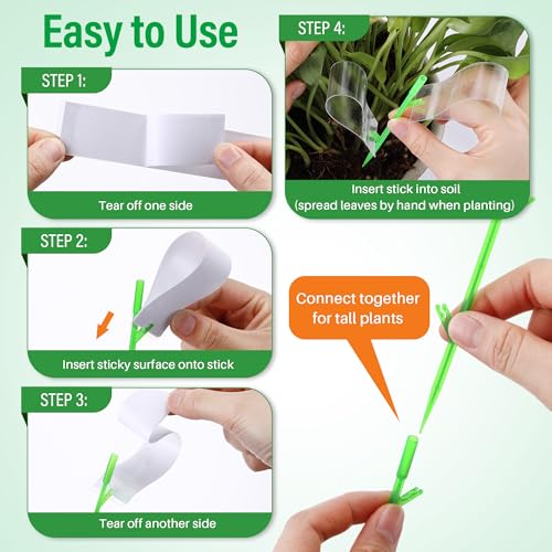 100 Pcs Gnat Sticky Traps for Plants, Sticky Traps for Gnats with 20 Stakes to Control, Aphids, Plant Bug, Mosquito Bits and Whiteflies(Transparent) - color: Transparent