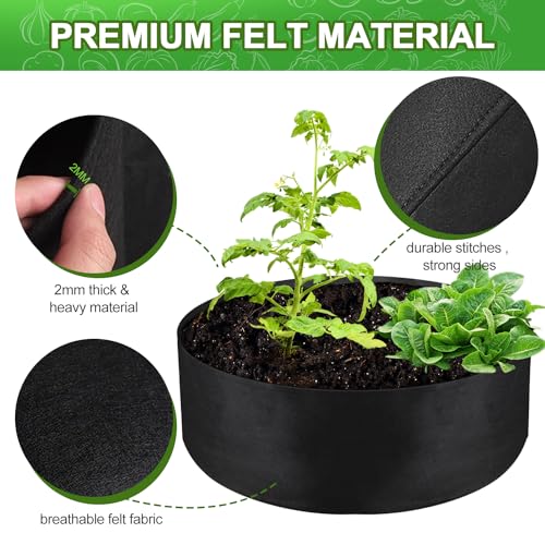 50 Gallon Large Grow Bag, Heavy Duty Fabric Round Raised Garden Bed - size: 50 Gallon (36" D x 12" H)