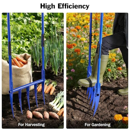 56'' Heavy Duty Broadfork for All the Soils, Detachable Design Pitchfork, 5 Sharp and Cambered 11'' Tines Bord Fork Garden Tool, Ergonomic Handles, Good Package, Easy Assembly, Blue.