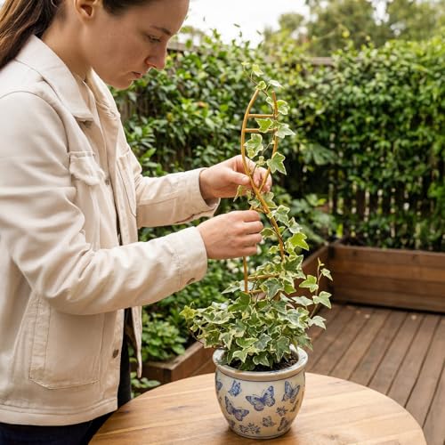 4 Pcs Glod Indoor Plant Trellis for Potted Plants - Durable Metal Climbing Trellis with Unique DNA Spiral Design for Vining Plants, Easy Installation for Indoor & Outdoor Use
