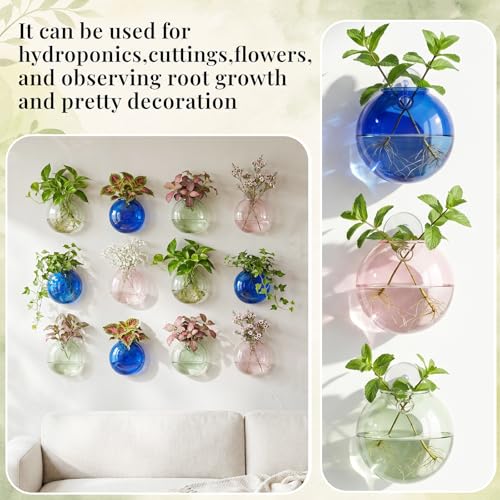 LemonRoad 3 Pcs Propagation Wall Hanging Glass Flower Vase Pink Green Blue Oblate Wall Vases for Flowers Hydroponics Plant Propagation Station Terrariums Glass Planter Gifts for Plant Lovers