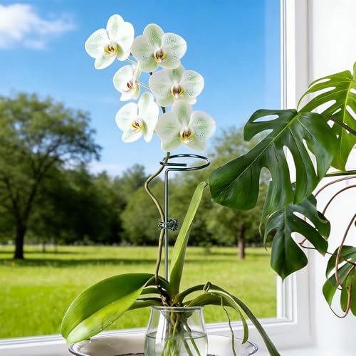 6pcs Plant Support Stakes Plant Stakes for Indoor 12/25/36 Inch Plants Sticks Support Adjustable Tall Plants Holder Sticks with 30 Clip for Peony Tomato Orchid Lily Flower