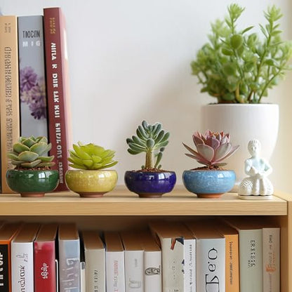 T4U Mini Succulent Pots, Small Shallow Ceramic Pots, Retro Gift Set of 6 - size: Small