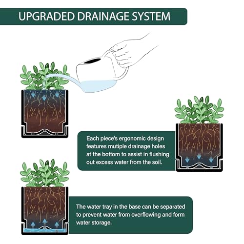 D'vine Dev 2-Pack Plastic Herb Planter Pots, 6 in, Black, 76-Y-B2-2 - color: Black, size: 12 Inch x 6.5 Inch