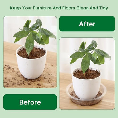 JERIA 10 Inch 20 Pack Clear Plant Saucers,Plastic Flower Pot Trays,Round Durable Plant Drip Trays for Indoor and Outdoor - size: 10 Inch (20 Pack)