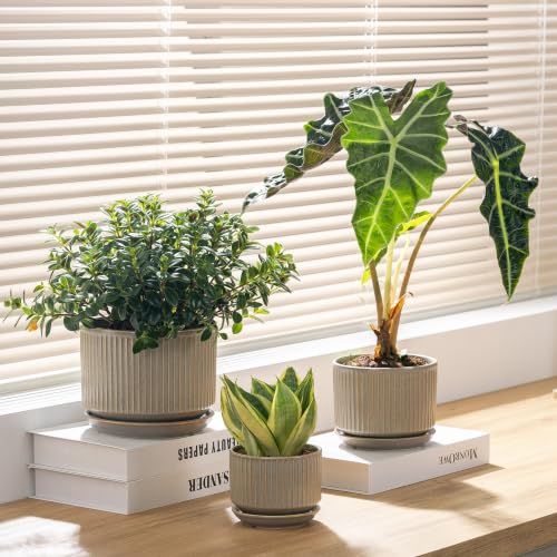SURE YUESI Ceramic Plant Pots Set of 3, Indoor Outdoor Planters with Drainage Hole and Saucer, Ceramic Flower Pots for Indoor Plants, 4.3+5.5+6.8 Inch, Home, Garden, Patio and Office, Matte Grey - color: Speckle Gray