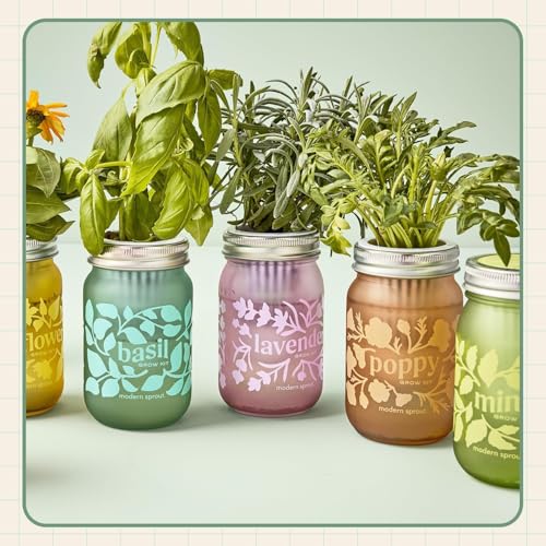 Modern Sprout Mason Garden Jar - Self-Watering Hydroponics Growing Kit-3Pk - color: Poppy + Rosemary + Mint