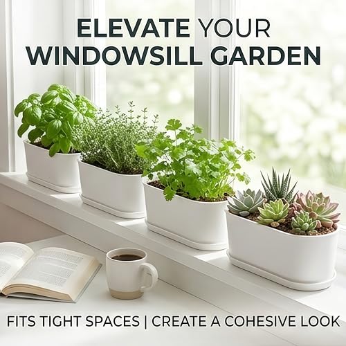 Small Rectangular Planter Box Planters 5-Pack