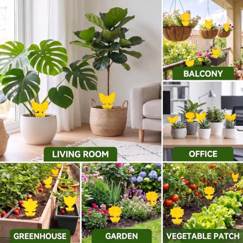 Yellow Sticky Fruit Fly Trap 60 Pack, Gnat Traps for House Indoor Plants - size: 60 Pack