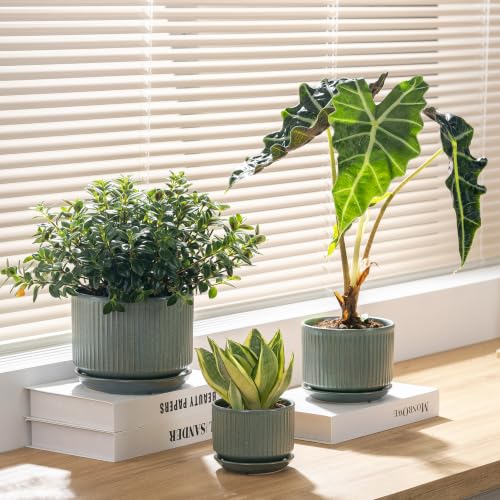 SURE YUESI Ceramic Plant Pots Set of 3, Indoor Outdoor Planters with Drainage Hole and Saucer, Ceramic Flower Pots for Indoor Plants, 4.3+5.5+6.8 Inch, Home, Garden, Patio and Office, Matte Green - color: Matt Green