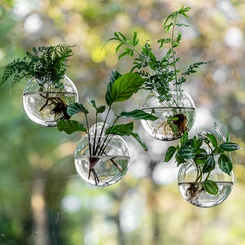 Window Propagation Stations, Oblate Glass Terrariums Planter with Suction Cup Hook, Wall Hanging Planters for Hydroponics Plants, Home, Office, Bathroom, Living Room Decor, Gift for Plant Lovers (4)
