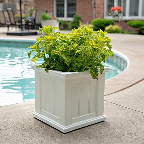 Mayne Cape Cod 14in Self-Watering Square Planter, White - color: White, size: 14in