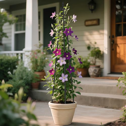 Alisisfores 5.2 FT Obelisk Trellis for Climbing Plants, Black - size: 5.2 Ft