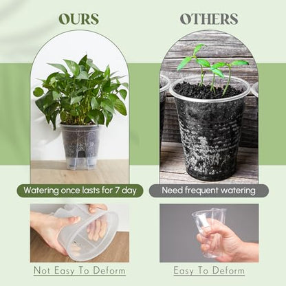 Wonderjune Self Watering Planter, 5.91'', Clear, 6 Pcs - color: Clear, size: 5.91''
