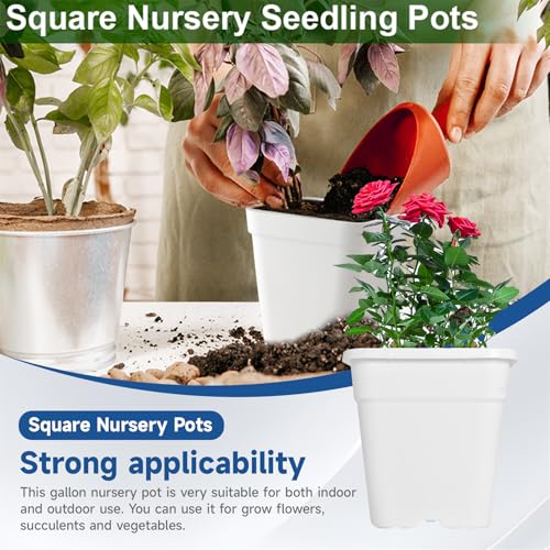 WFLNHB 1 Gallon 10 Pcs Square Plastic Plant Pots Flexible Nursery Pot Planter Nursery Pots Suitable for Flower Vegetables Succulents White - color: White, size: 1 Gallon-10 Pcs