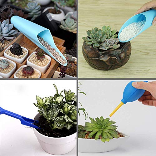 SONGZIMING 15 Pcs Succulent Plant Tools Set