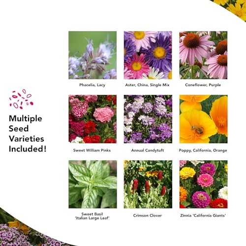 Growtrax Pollinator Wildflower & Sunflower Seed Mix - 40 Sq Ft - style: Pollinator Mix
