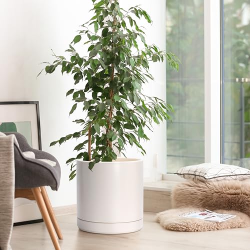 D'vine Dev 10 Inch Ceramic Planter Pot, Oatmeal, 94-O-E-8 - color: Oatmeal, size: Large