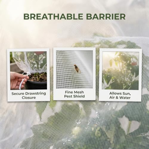 4 Pack Garden Netting with Drawstring, Bird Netting Plant Protection Bags in 2 Sizes for Tomatoes, Blueberries, Vegetables, Fruit Trees, Cicadas and Garden Pest Barrier