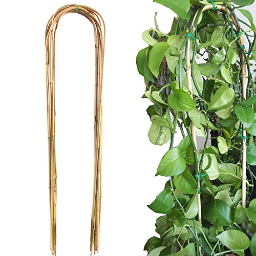 Avalution 10 Pcs Natural U-Hoops Bamboo Garden Trellis, 4 Ft Bamboo Trellis U-Shape Plant Support for Climbing Plants Indoor and Outdoor Use - color: U-Hoop, size: 10 PACK-48 inches