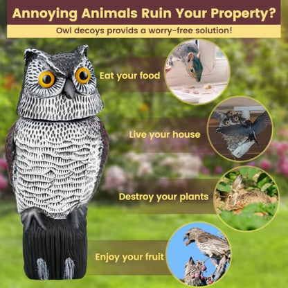 Owl Decoys to Scare Birds Away, Waterproof Owl Statue for Garden - size: Small