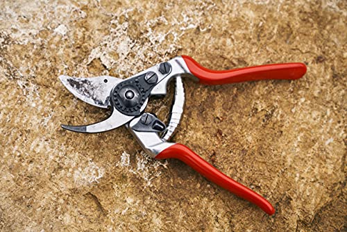 Felco F 14 Pruning Shears – 7.1" Garden Clippers for Small Hands with Bypass & Anvil Blades | Hand Pruners for Gardening | Garden Tool Cutter with Forged Alloy Steel Build, Lightweight Swiss Design - size: F14 Small Ergo