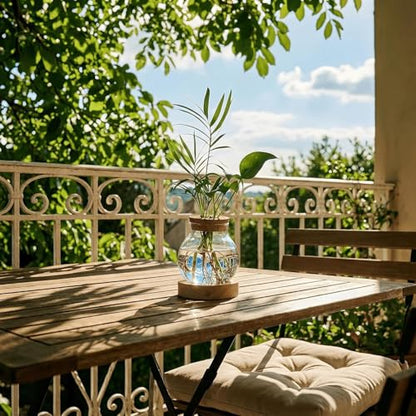 Plant Propagation Station with Light,Everkeen Glass Terrarium with Stepless Dimming Function Hydroponic Glass Container Vase Jars Gardening Gifts for Mom Women Plant Lovers 4 Pack - color: Clear 4 Pack