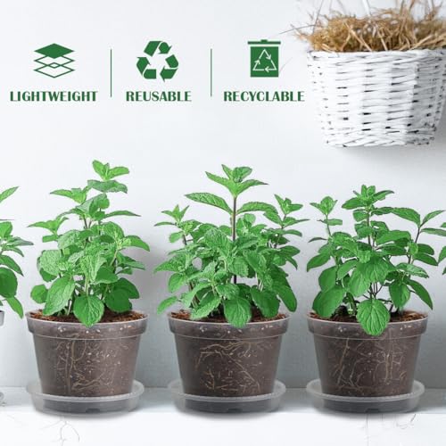 7 Pack 8 Inch Clear Nursery Pots with Saucer, Transparent Plastic Plant Pot with Drainage Holes, Sturdy Plant Starter Pots, Planter Pot for Planting Succulent Flower Herb Vegetable, Gardening Gifts - size: 8 Inch-7P