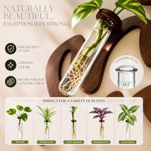 Leaf-Shaped Plant Hanging Propagation Stations with 6 Glass Vases & 1 Spare