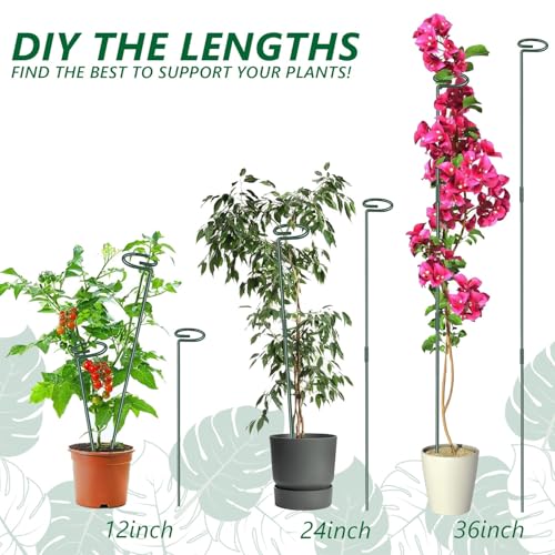 6 Pack 24 in Extendable Plant Support Stakes for Outdoor Plants and Flowers