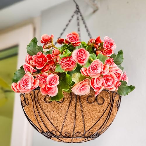 LaLaGreen Coco Hanging Baskets (18 in, 2 Pack) Black Wire Flower Pot Holder - size: 18" x 2 Pack
