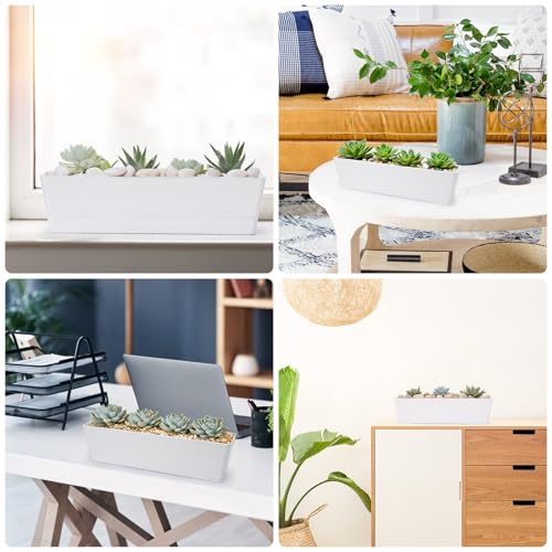 GREANER Long Window Boxes Planters, 6 Pack 16x3.8 Inch Vegetable Box Pot with Tray, Indoor Succulent Cactus Flowers Plastic Rectangle Pot for Balcony, Office, Garden, Outdoor, Windowsill - White - size: 6Packs/16x3.8in