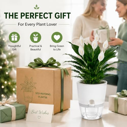 6 Inch Self Watering Planters 4 Pack Plastic Wicking Pots White - color: 6''-4pack-white